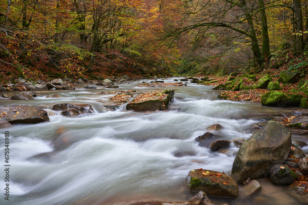 Landscape with a river in the forest