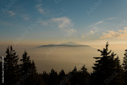 Panoramic view of snow covered mountain peak with fir trees on foreground and beautiful blue sky