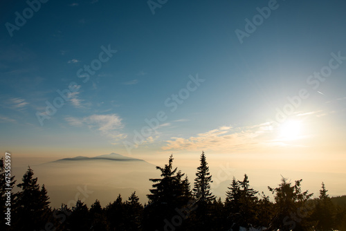 Beautiful view of snow covered mountain peak with fir trees on foreground and beautiful blue sky © fesenko