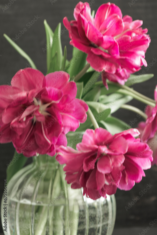 bouquet of dark red lilac tulips in glass vase on dark background. flower bouquet in vase on table. Gift interior decoration. florist, decorator. Flower shop.