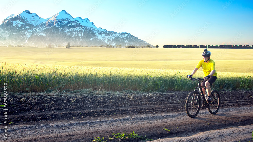 Obraz premium cyclist on bike rides along the fields of wheat in the sunlight