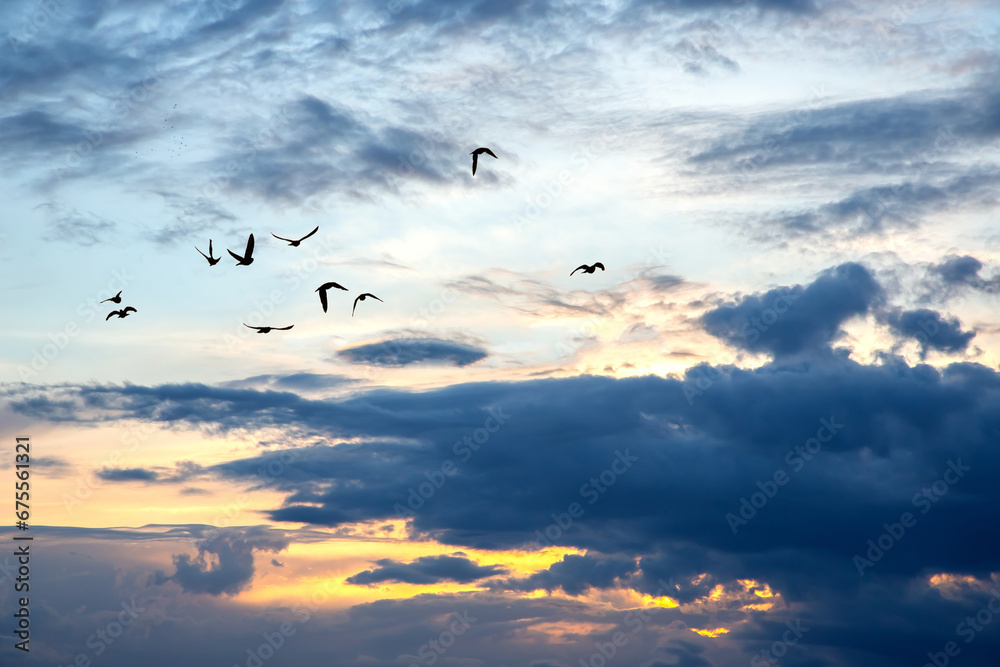 Fototapeta premium Lush colored clouds in the sky before sunset