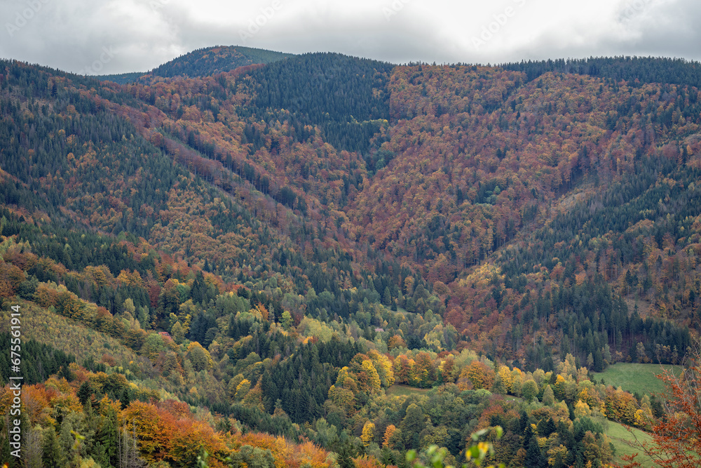 Valley with forest in autumn colors.