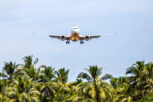 passenger plane flies over palm trees. air transport industry photo