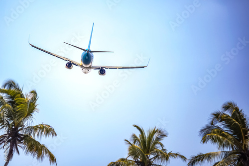 passenger plane flies over palm trees. air transport industry photo