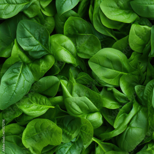 Seamless Pattern | Texture Material | Spinach, Basil Leaf Leaves | Close Up 