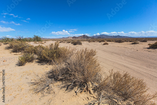 View of Mojave Desert national reserve landscape  an arid rain-shadow desert  California  United States of America  summer sunny day with road  mountains  sand dunes and a blue sky