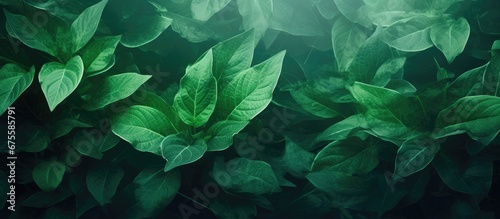 The abstract floral pattern with a vibrant green color in the background creates a beautiful summer landscape where the textures of the leaves and the light add to the natural beauty of the