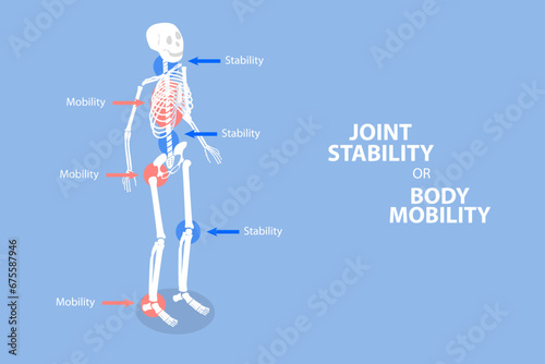 3D Isometric Flat Vector Illustration of Joint Stability Or Body Mobility , Human Skeleton Movement and Position photo