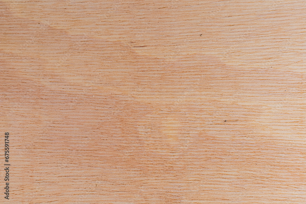 Light rough textured cut surface of an African tree. Wood background or blank for design Light rough textured cut surface of an African tree. Wood background or blank for design