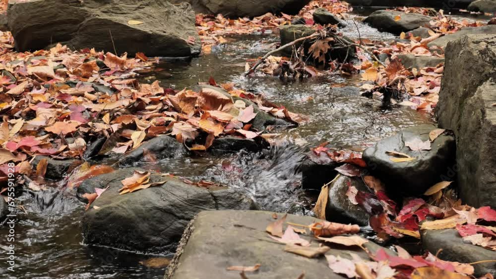 Forest streams (creek) between stones covered with a layer of autumn leaves. Forest streams (creek) between stones covered with a layer of autumn leaves.