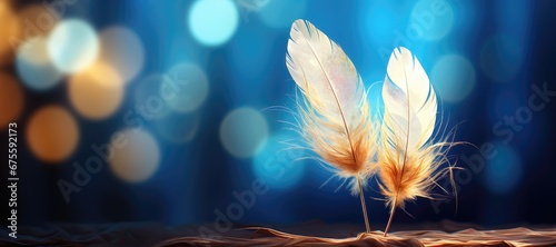 An abstract background image for creative content in wide format  featuring two feathers  offering a minimalist and versatile canvas for artistic expression. Photorealistic illustration