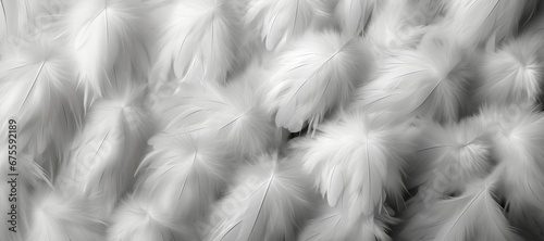 An abstract background image for creative content in wide format, featuring white feathers, offering a visually captivating and versatile canvas for artistic expression. Photorealistic illustration