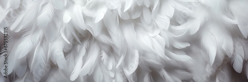 An abstract background image for creative content in wide format, showcasing white feathers, offering a canvas for artistic expression with a sense of purity and lightness. Photorealistic illustration