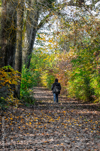 Beautiful looking autumn in sunny weather in the park