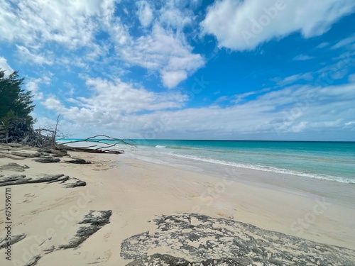 secluded  undeveloped beach in North Bimini  Bahamas