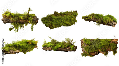 A wooden pine bark covered with green moss isolated on transparent background. Beautiful Bright Green moss grown up cover the wooden bark. Product display mockup photo