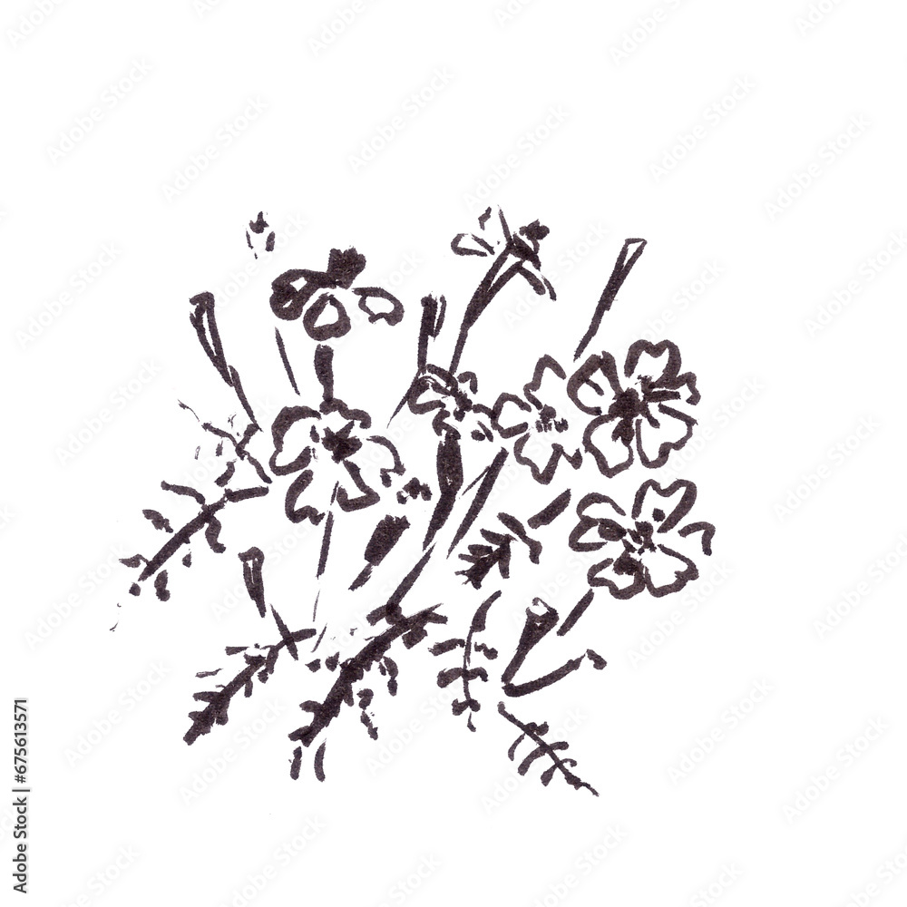 blooming marigold, graphic black and white drawing blooming marigold, graphic black and white drawing