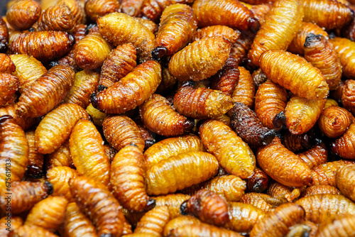 fried Red palm weevil worm in thai street food market photo