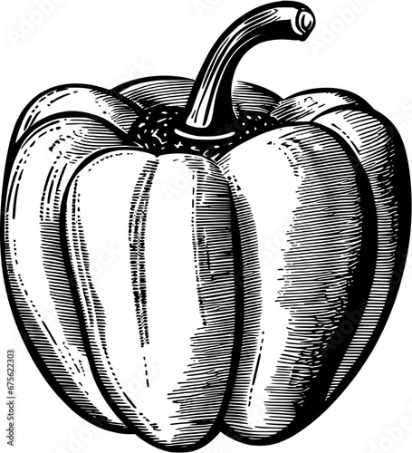 Food Bell Pepper Vintage Outline Icon In Hand-drawn Style