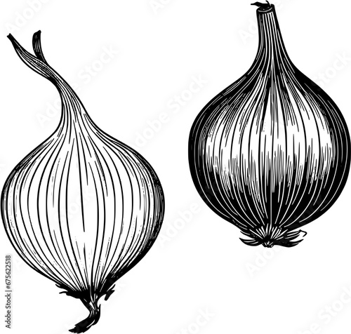 Food Ingredients Red Onion Vintage Outline Icon In Hand-drawn Style