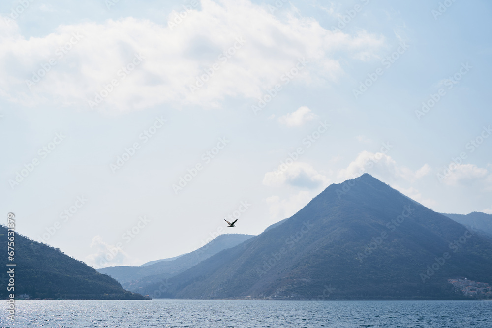 Seagull flies over the sea against the backdrop of a mountain range in a light haze