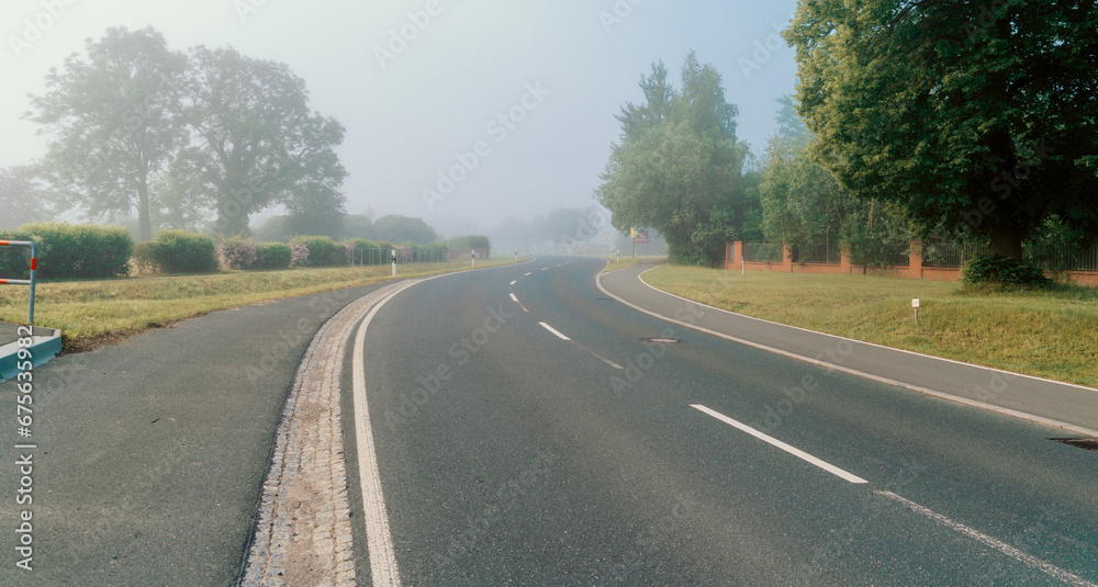 A forested roadway with traffic signs.