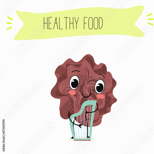 Character cartoon Salad of green and red trocadero lettuce, lactuca sativa vector illustration, funny greens, cheerful vegetables.