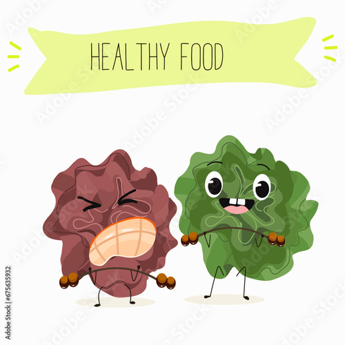 Character cartoon Salad of green and red trocadero lettuce, lactuca sativa vector illustration, funny greens, cheerful vegetables.