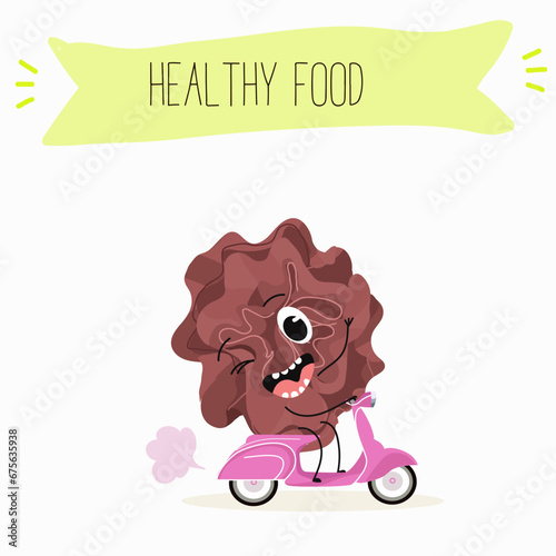 Character cartoon Salad of green and red trocadero lettuce, lactuca sativa vector illustration, funny greens, cheerful vegetables.