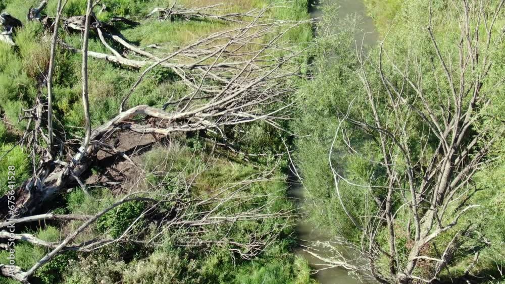 Drone video of a river channel winding through a farmland, surrounded by dry trees and green pastures. Drone video of a river channel winding through a farmland, surrounded by dry trees and green pastures.