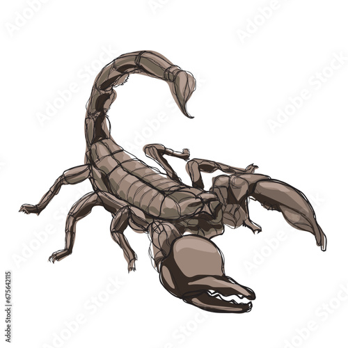 A dangerous scorpion crawling on floor