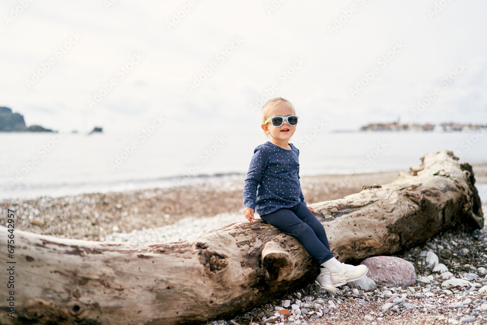 Little girl in sunglasses sits on a snag on the beach