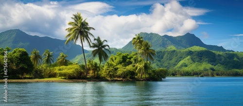 In the tropical summer as I travel I am in awe of the breathtaking landscape that surrounds me the lush green forest towering mountains and vibrant blue sky reflecting in the calm waters bel © TheWaterMeloonProjec