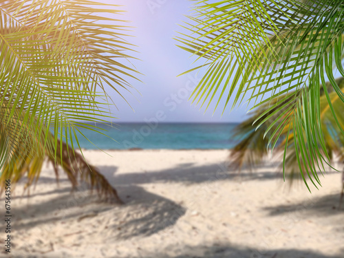 View of beautiful sea beach with tropical palms