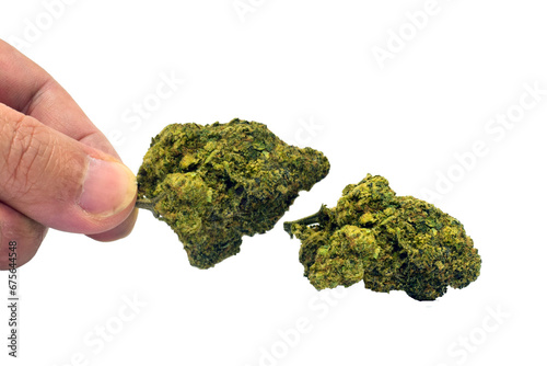 Hand holding dried cannabis flowers Close-up photo of cannabis flower bouquet The details are clearly visible separated from the background. The cut background PNG Dried cannabis flowers with flowers 