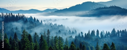 Fog conceals details of mountains with trees inviting greater sense of wonder with mystery © Stavros's son