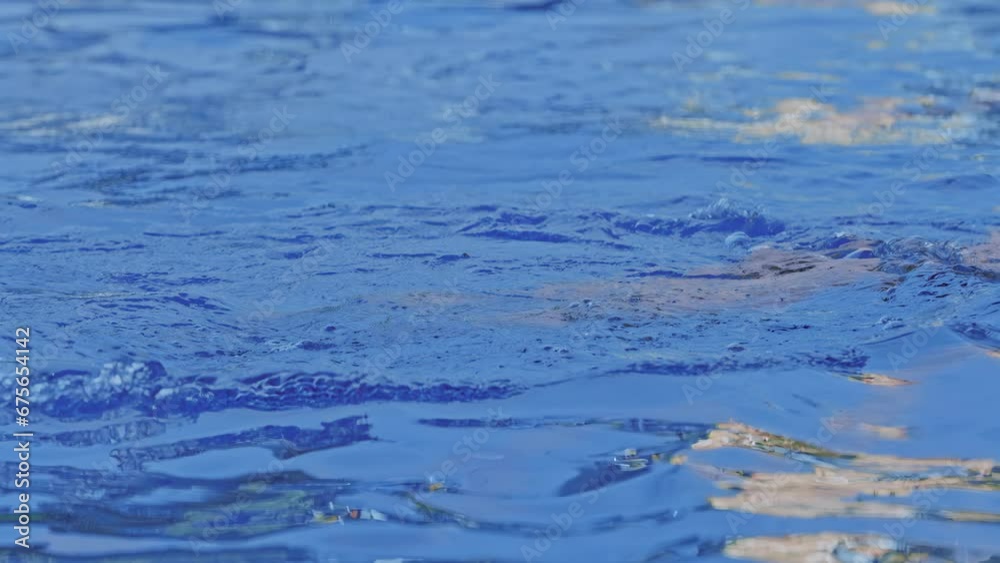 Side view of a professional female swimmer with goggles at the pool. A woman swimmer dives into a pool of water. Close-up, slow motion. Side view of a professional female swimmer with goggles at the pool. A woman swimmer dives into a pool of water. Close-up, slow motion.