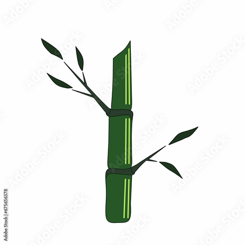 bamboo isolated on white background  vector bamboo.