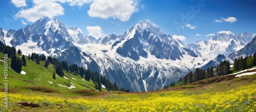 In spring the sky above the alpine mountain is a vibrant shade of blue complementing the white snow capped peaks while the green grass and colorful flowers create a picturesque landscape con