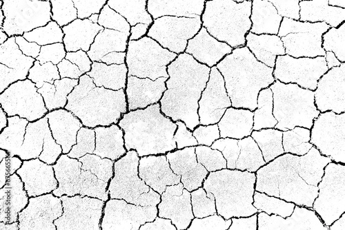 Texture soil dry crack background pattern of drought lack of water of nature white black old broken. photo