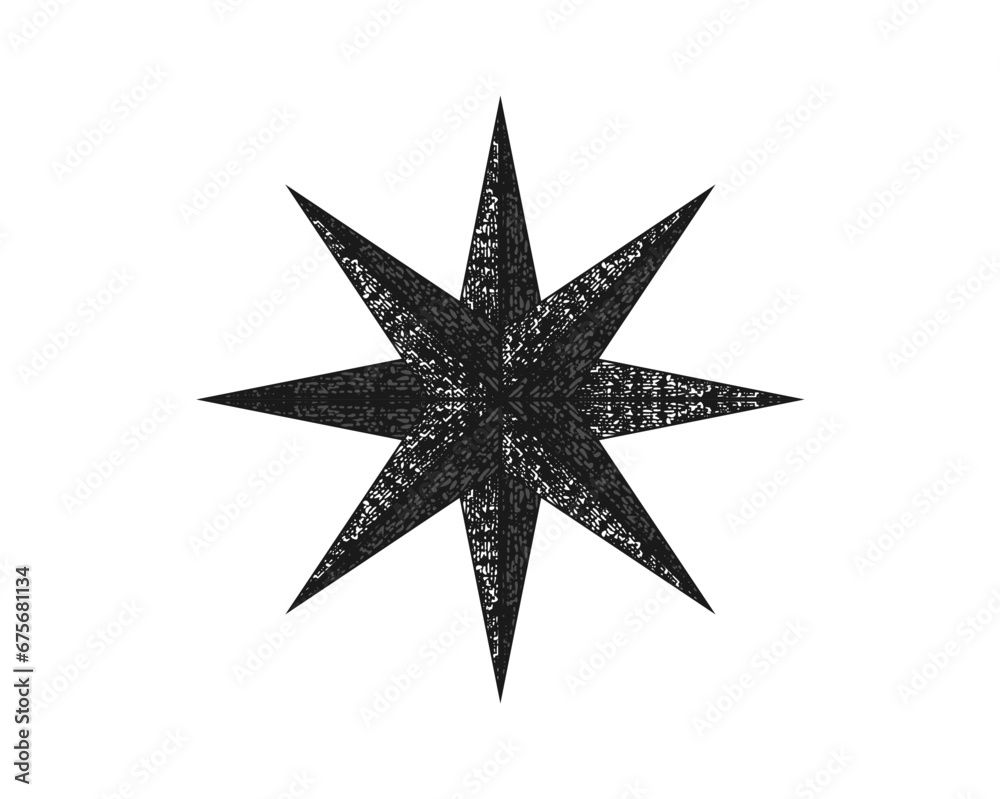 Obraz premium compass rose logo