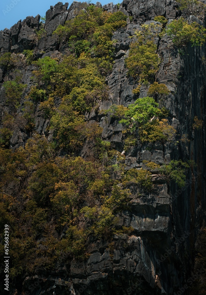 Rock cliff with natural trees.