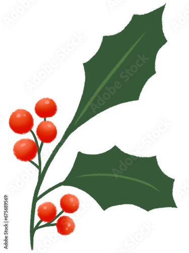 Christmas Holly Mistletoe.