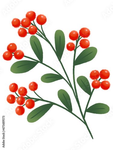 Christmas Holly Mistletoe.