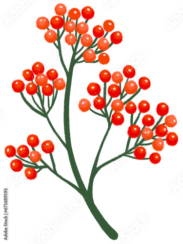 Christmas Holly Mistletoe.