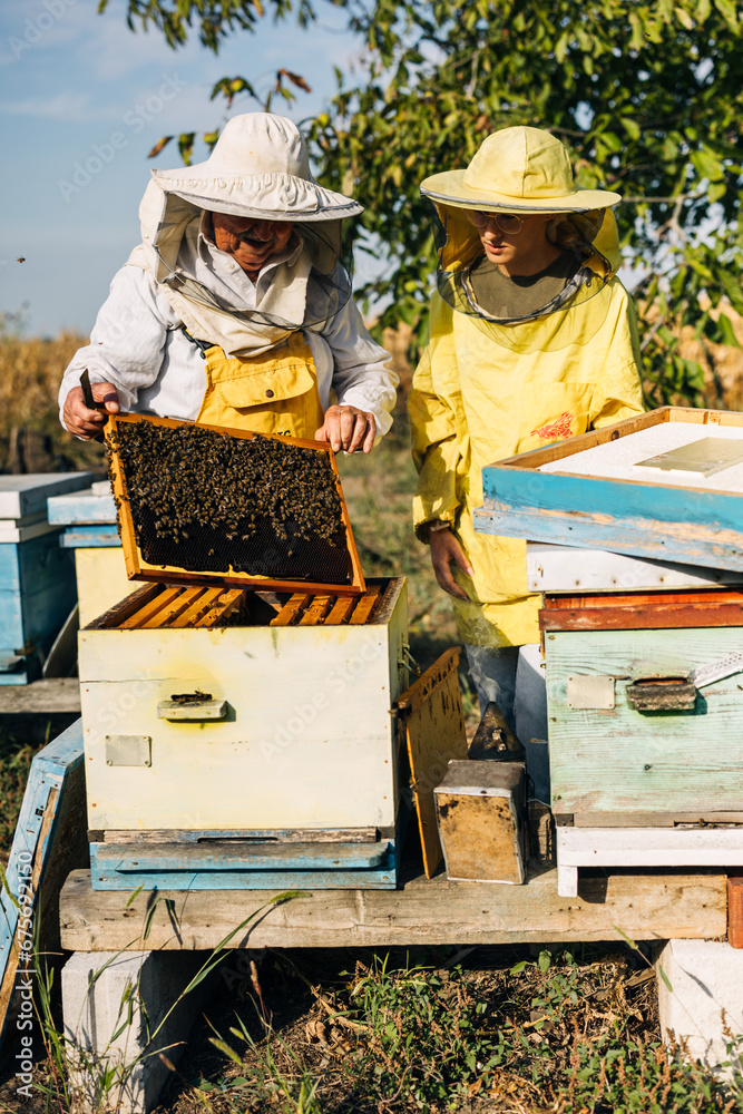 Front view of a grandfather and granddaughter beekeeping together.