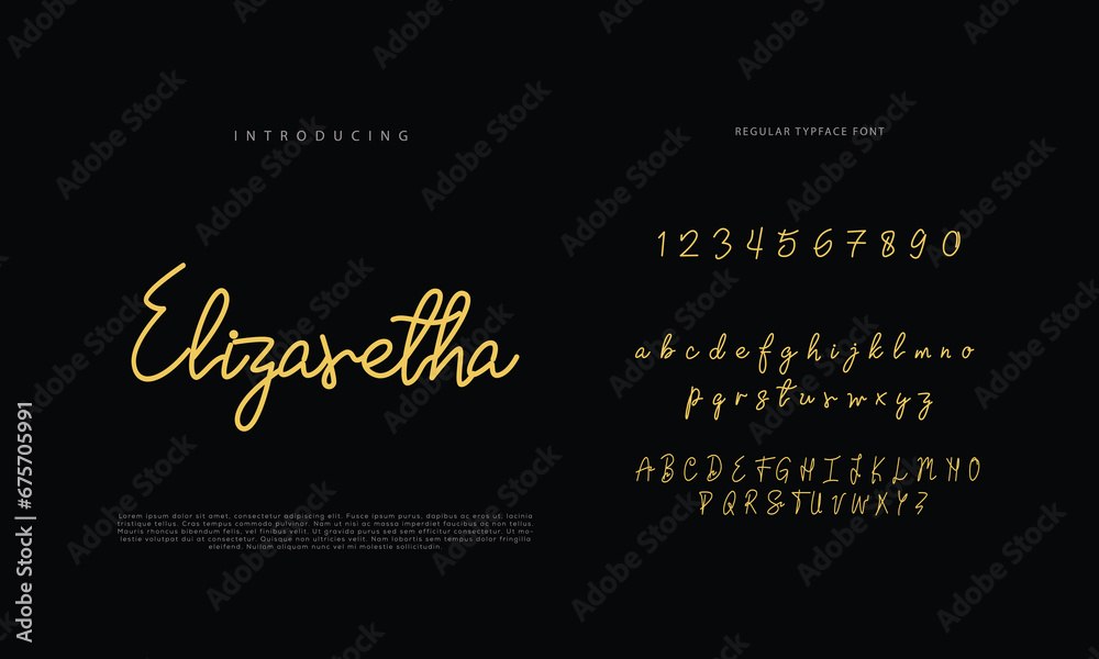 Handwritten Script font. Hand drawn brush style modern calligraphy cursive typeface. Hand Lettering and Custom Typography alphabet for Designs: Logo, Greeting Cards, Poster. Vector Brush type set.
