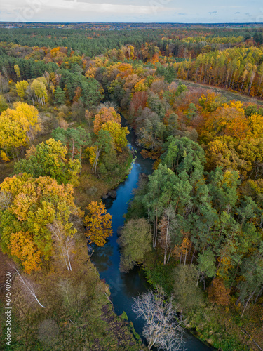 autumn landscape in the mountain forest with river and colorful trees