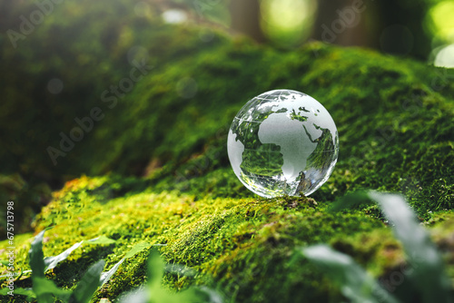 Crystal earth in forest Environment save the World  earth day and conservation